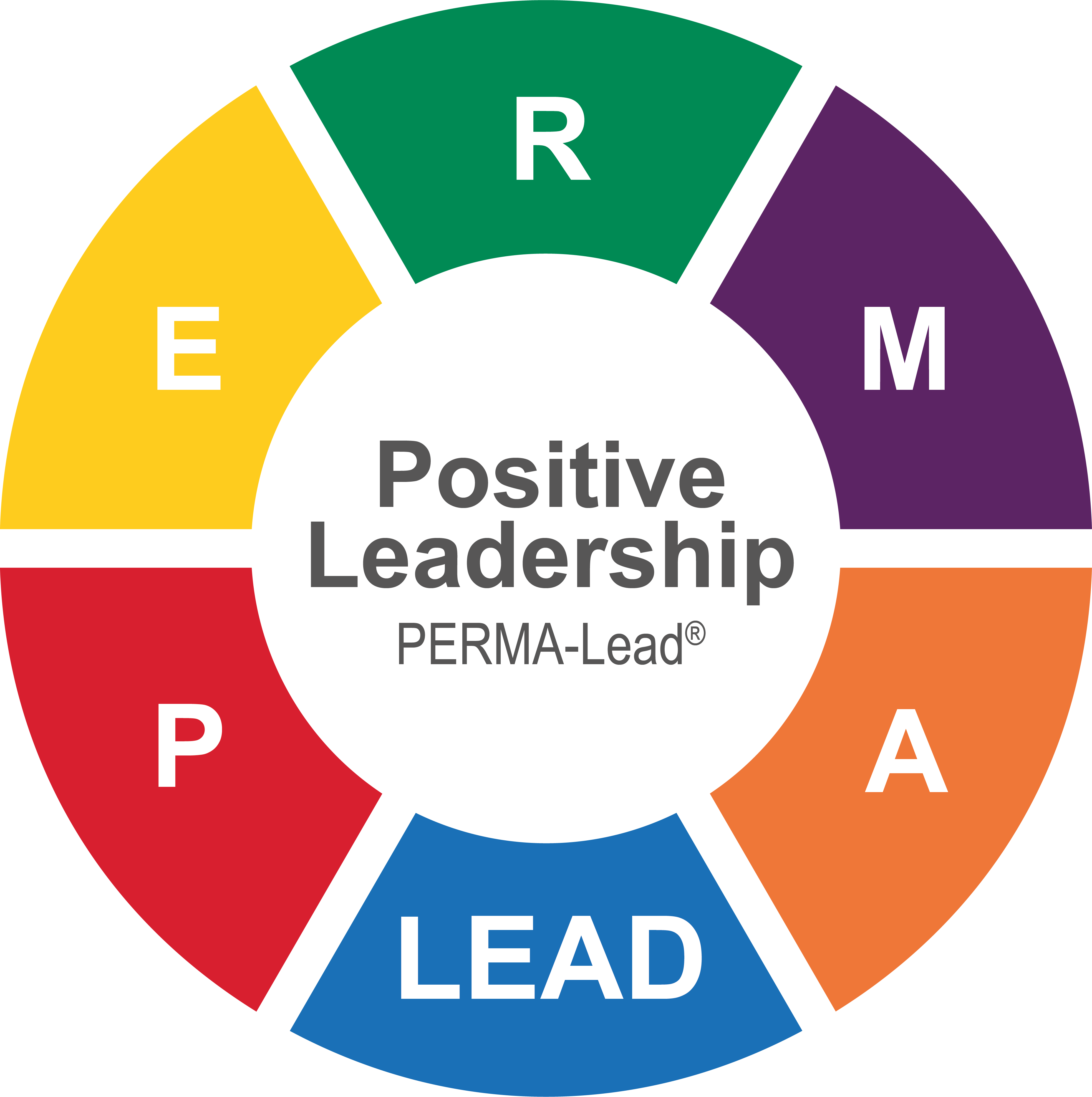 PERMA Leader - Positive Leadership